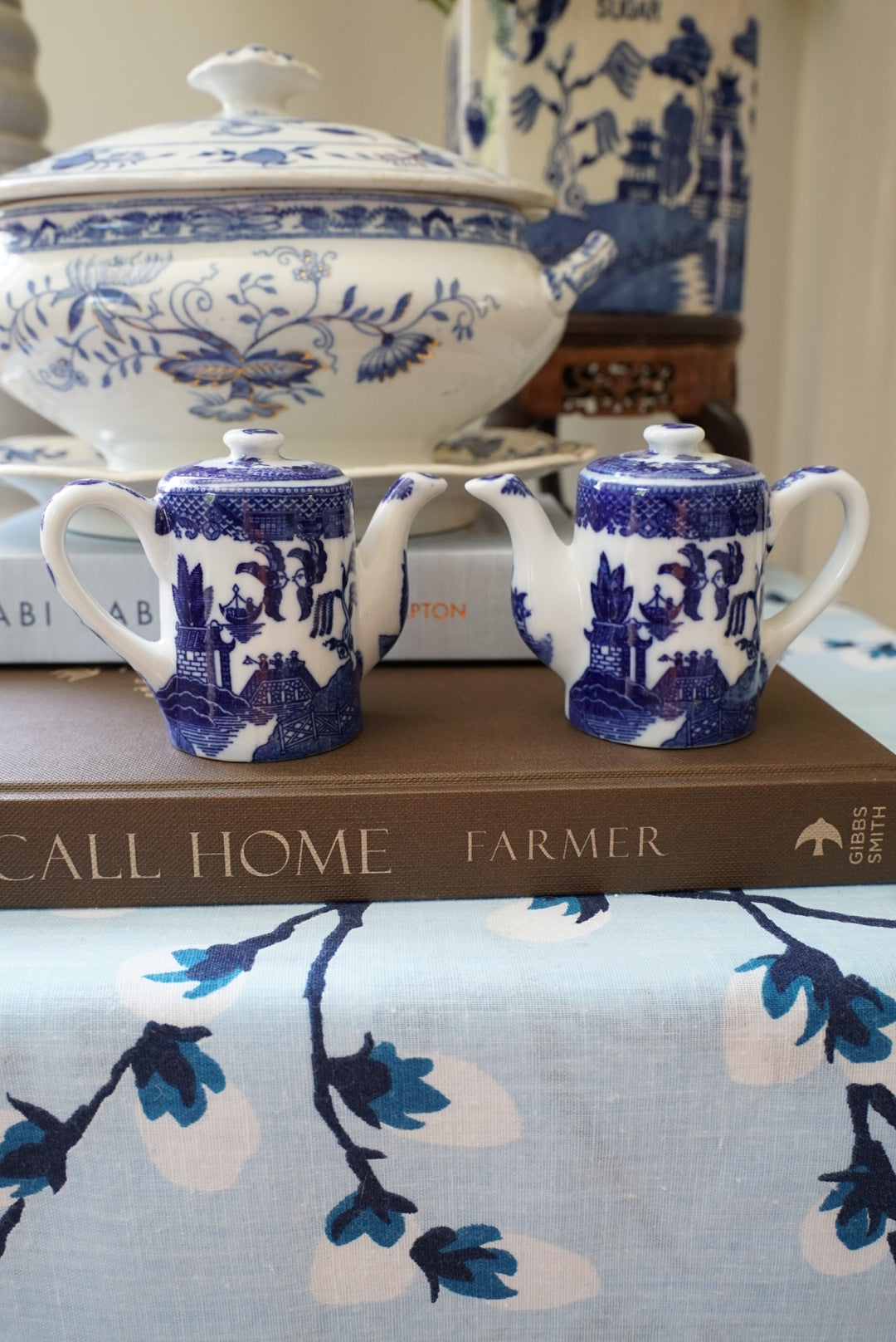 Vintage Blue Willow Salt and Pepper Shaker