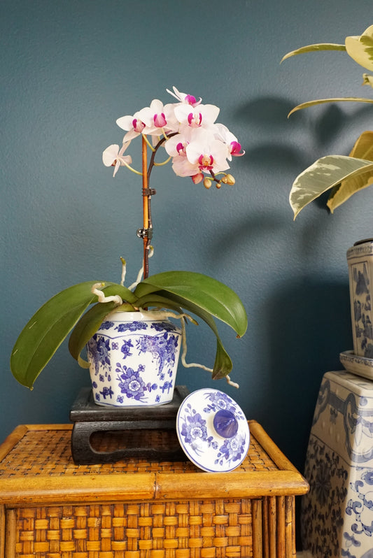 Vintage Blue and White Floral Lidded Octagonal Jar