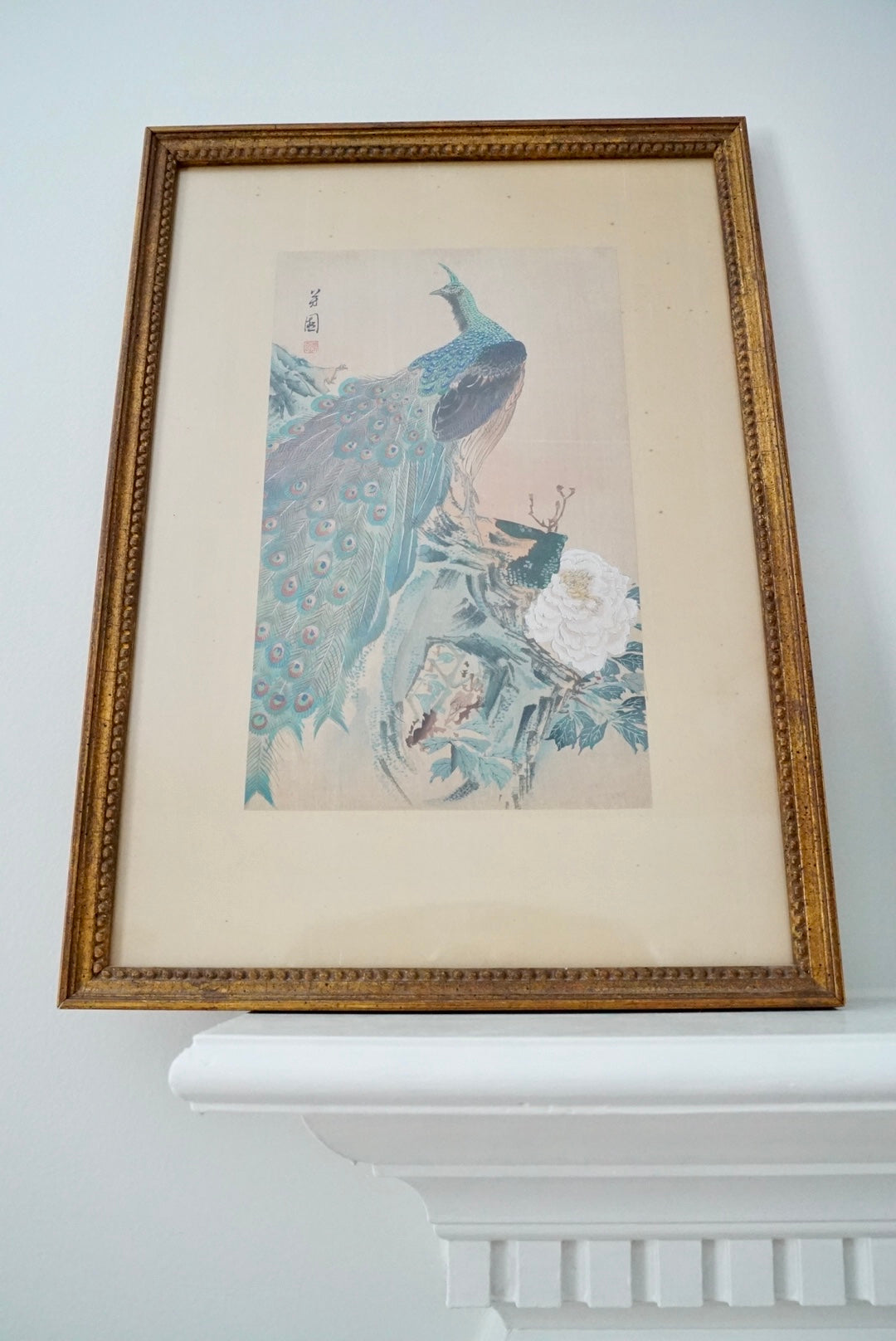 Antique Peacock Watercolor