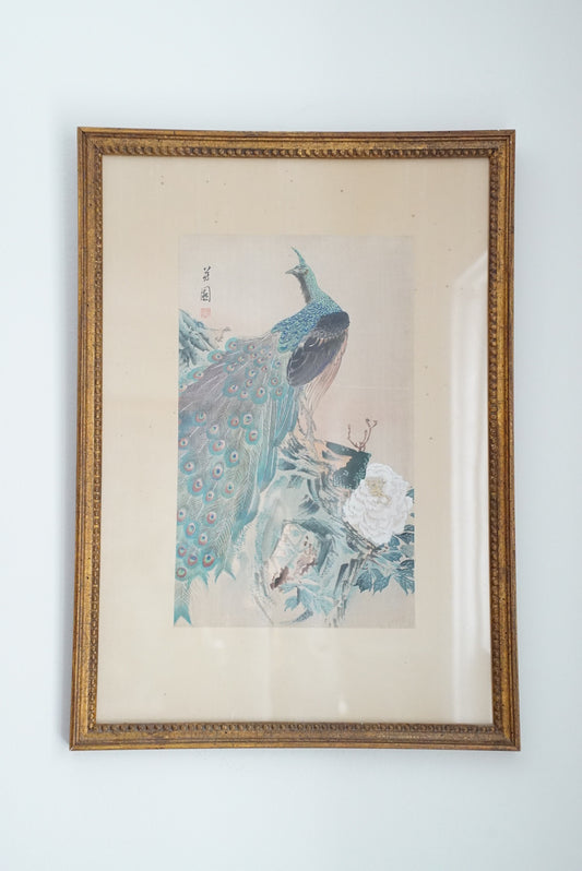 Antique Peacock Watercolor