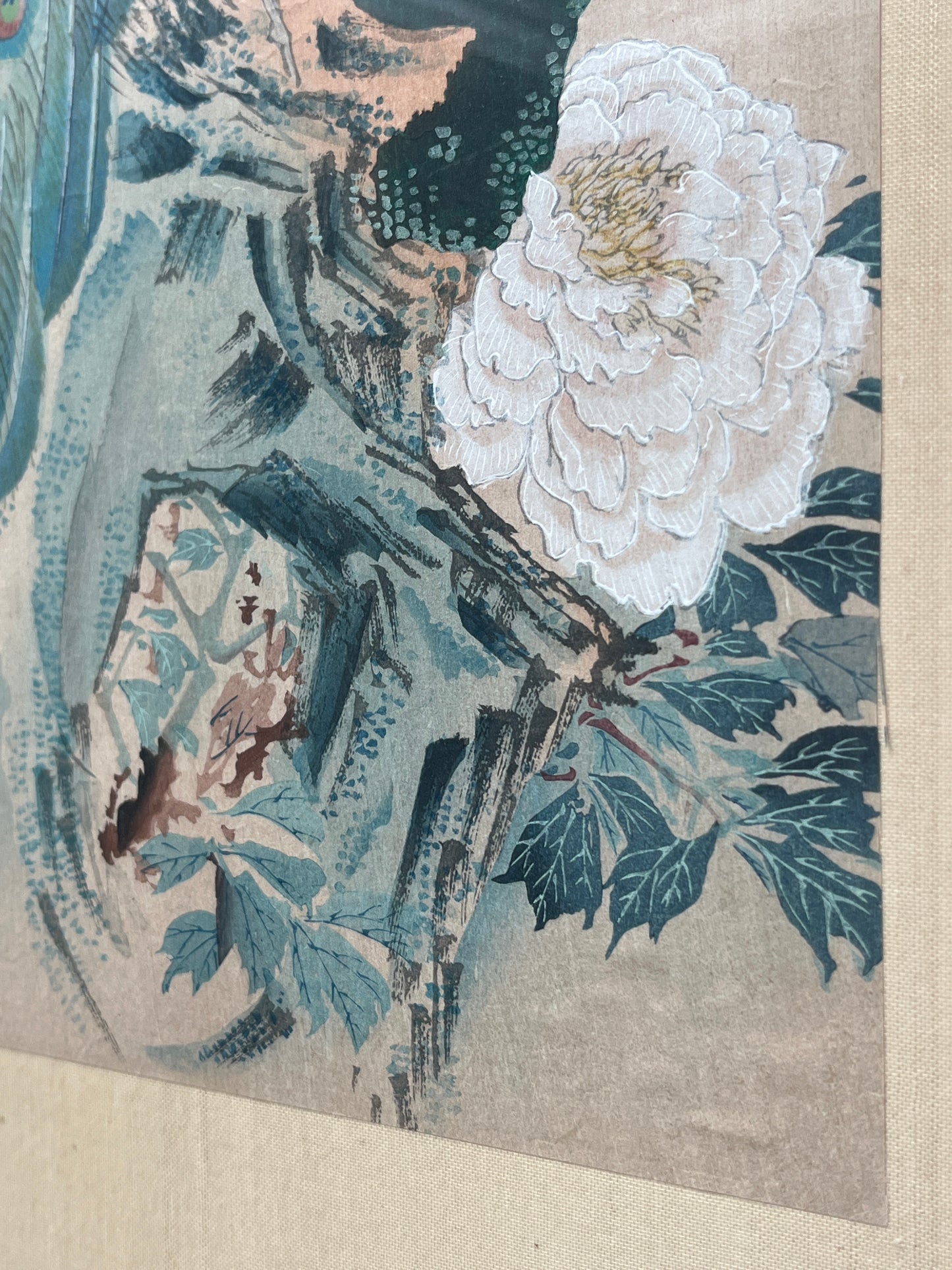 Antique Peacock Watercolor