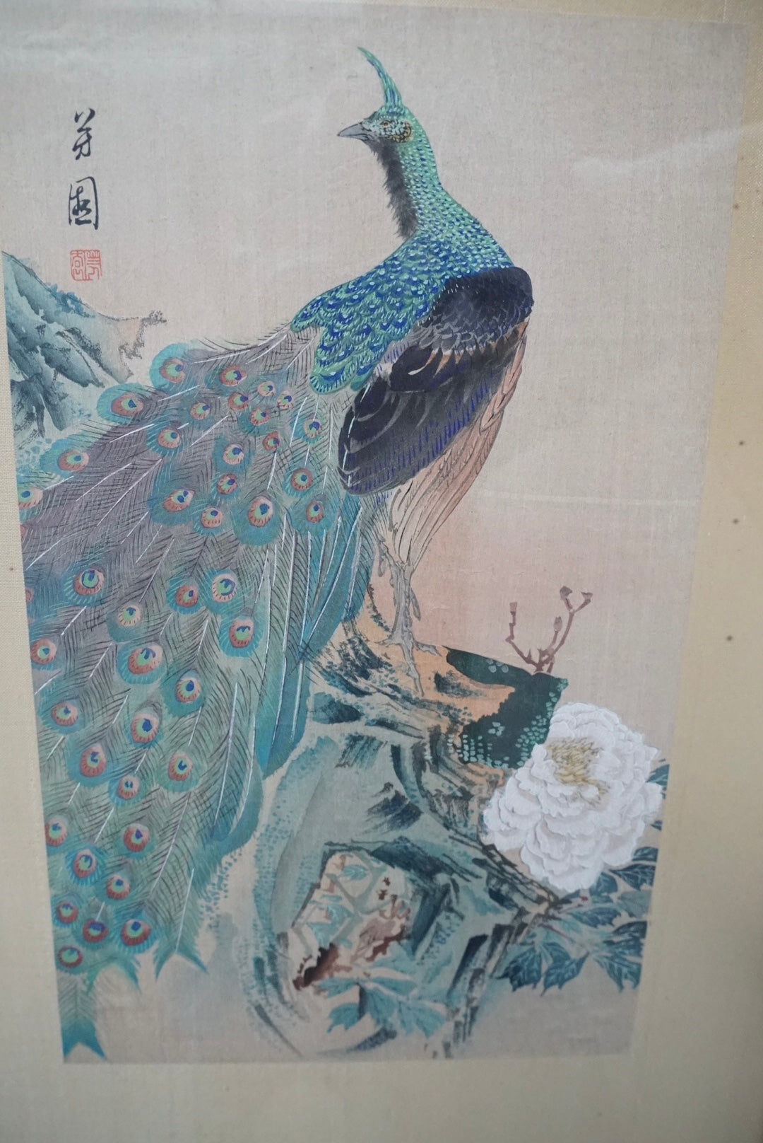 Antique Peacock Watercolor