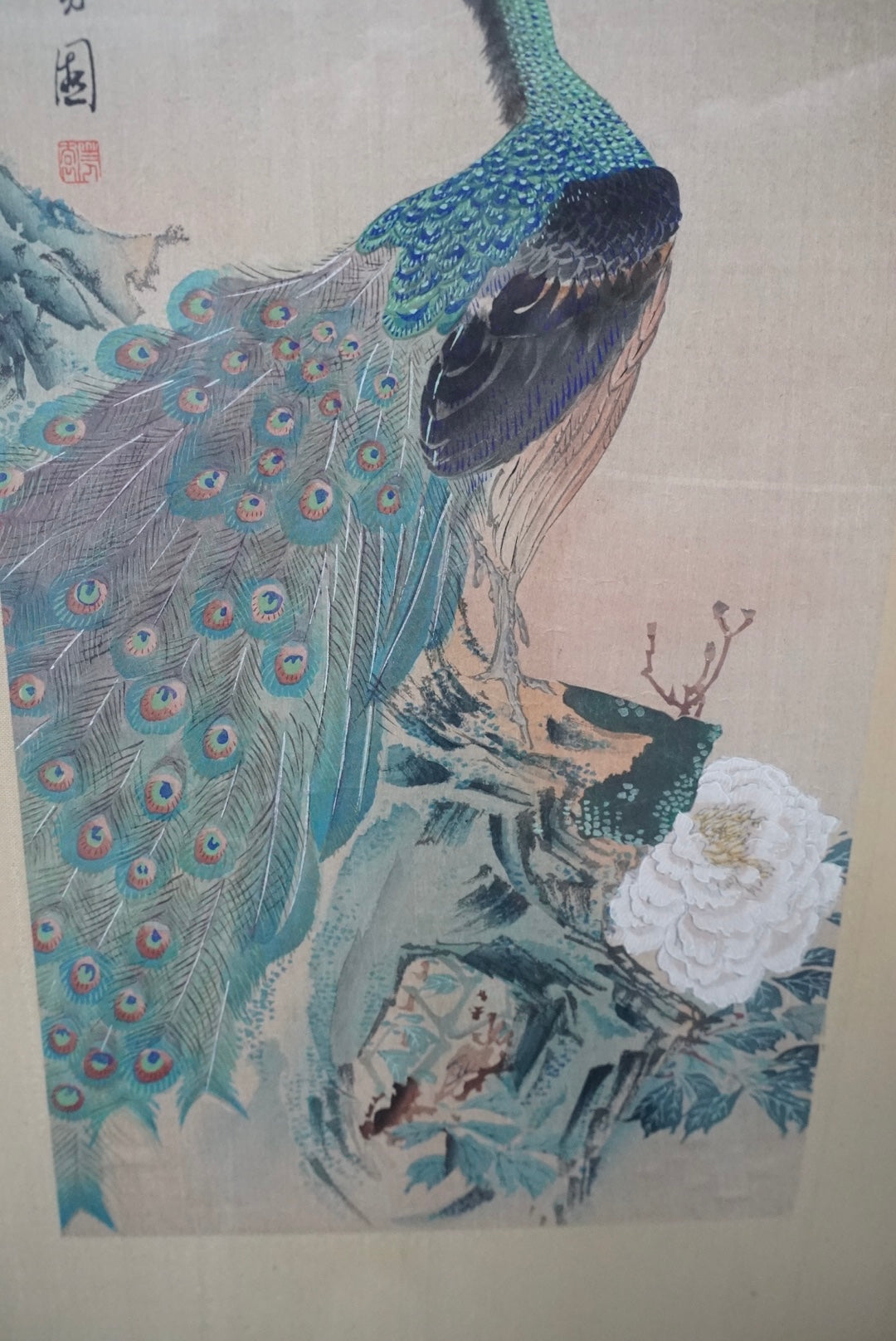 Antique Peacock Watercolor