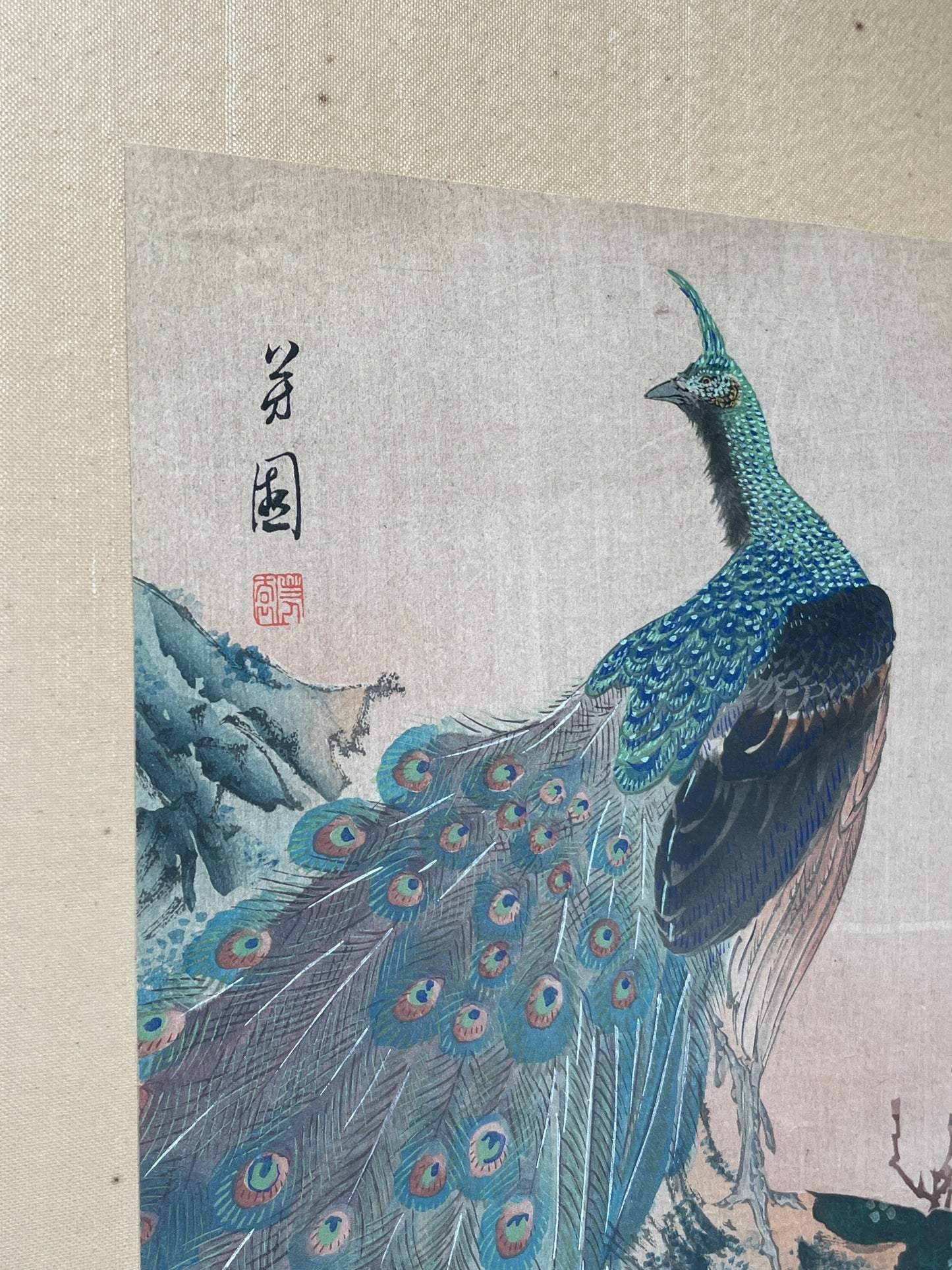 Antique Peacock Watercolor