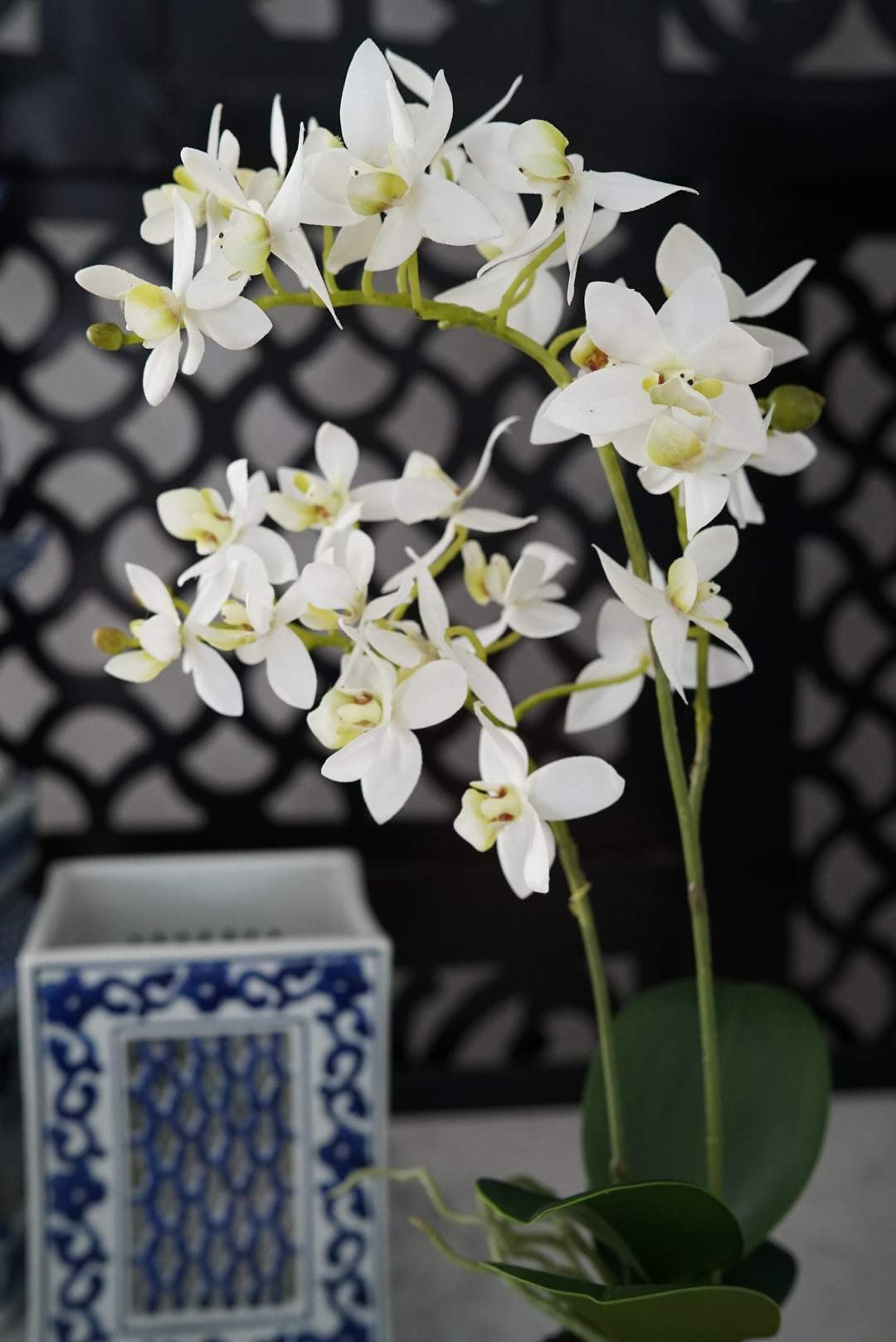 Small Orchid Drop-in