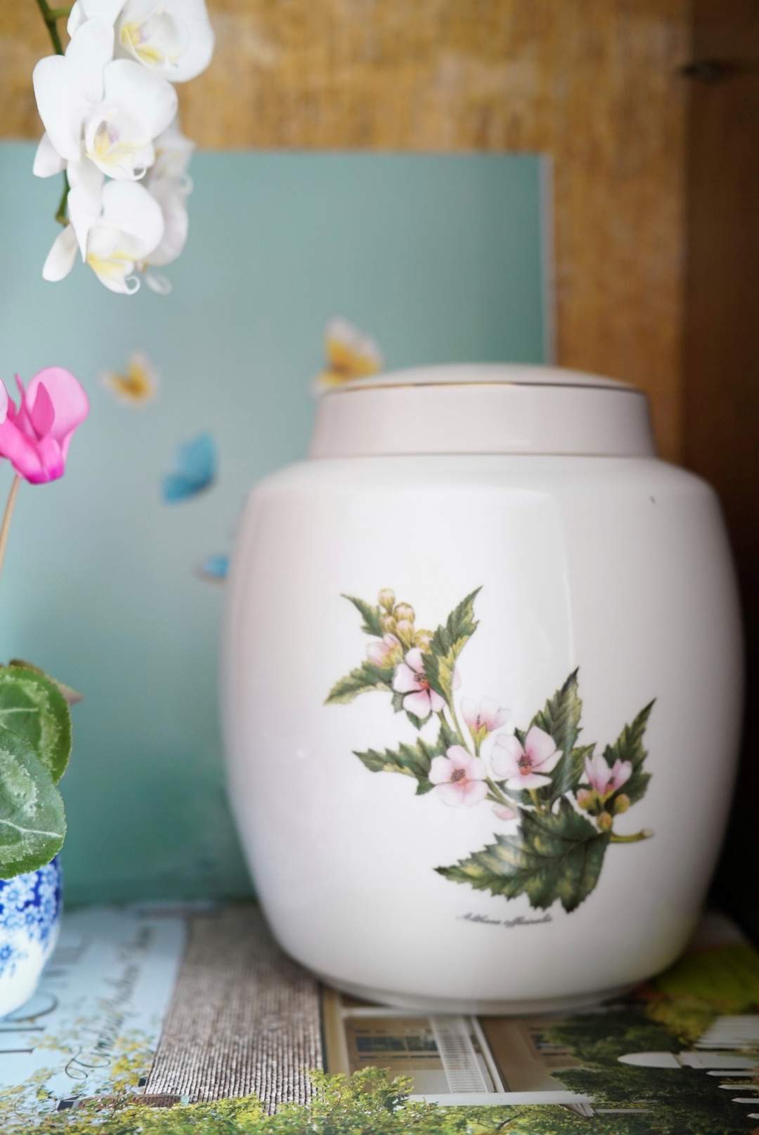 English Botanicals Ginger Jar