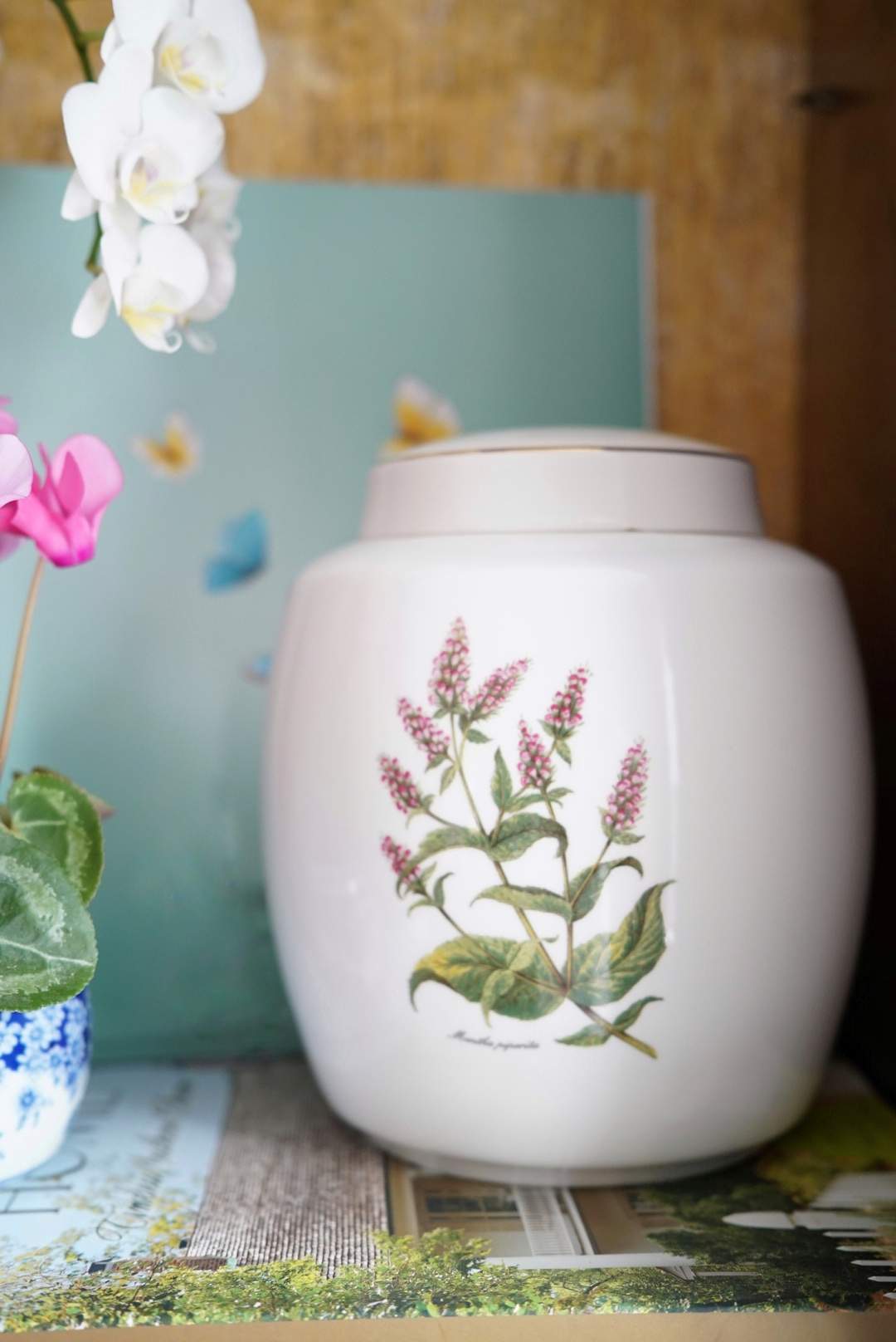 English Botanicals Ginger Jar
