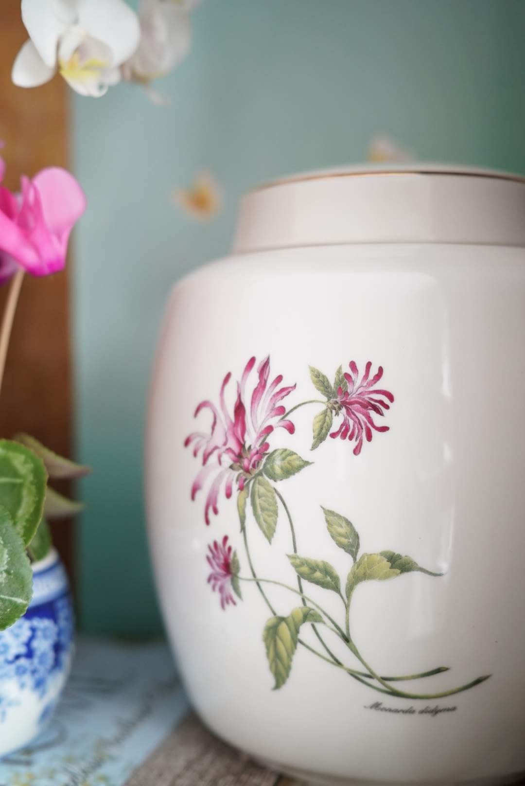 English Botanicals Ginger Jar