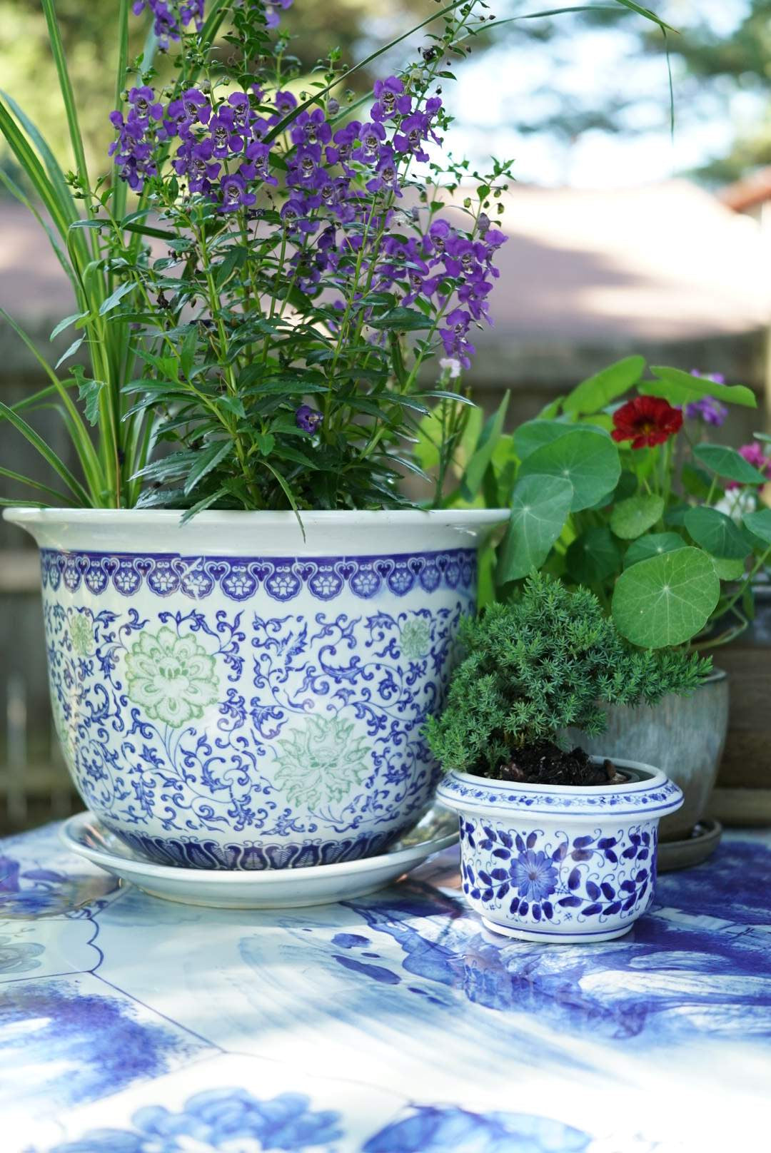 lotus planter pot Large Green Twisted Lotus Jardiniere with Saucer – House of Old and New