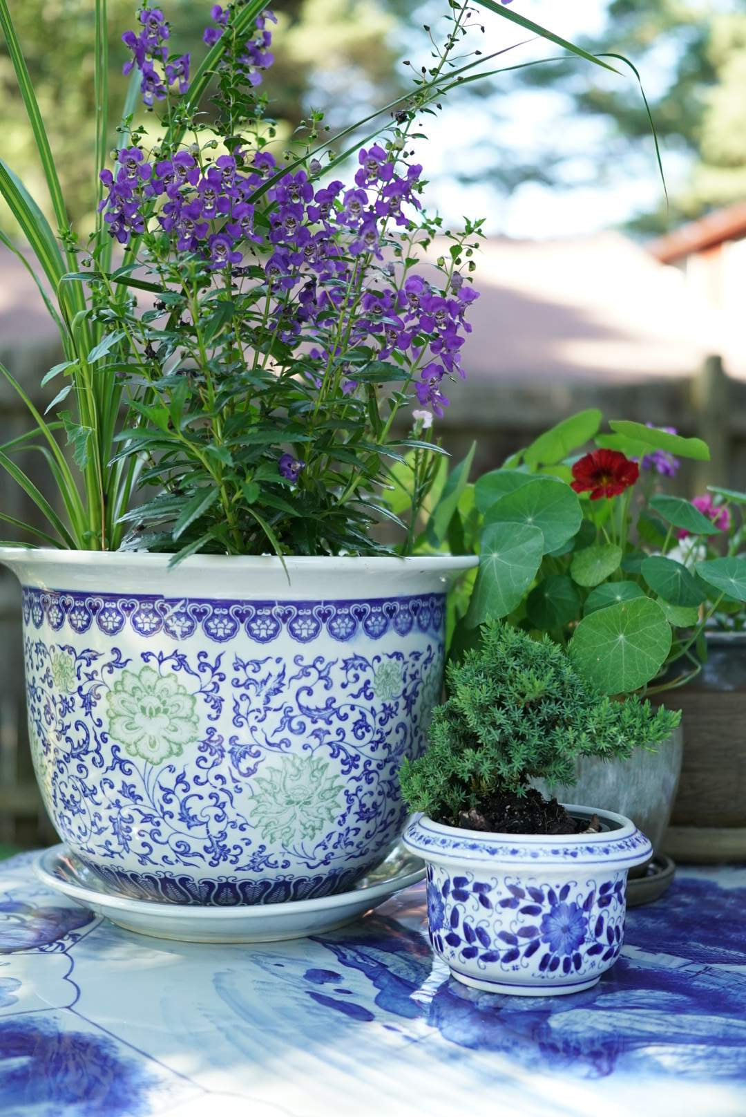 Large Green Twisted Lotus Jardiniere with Saucer