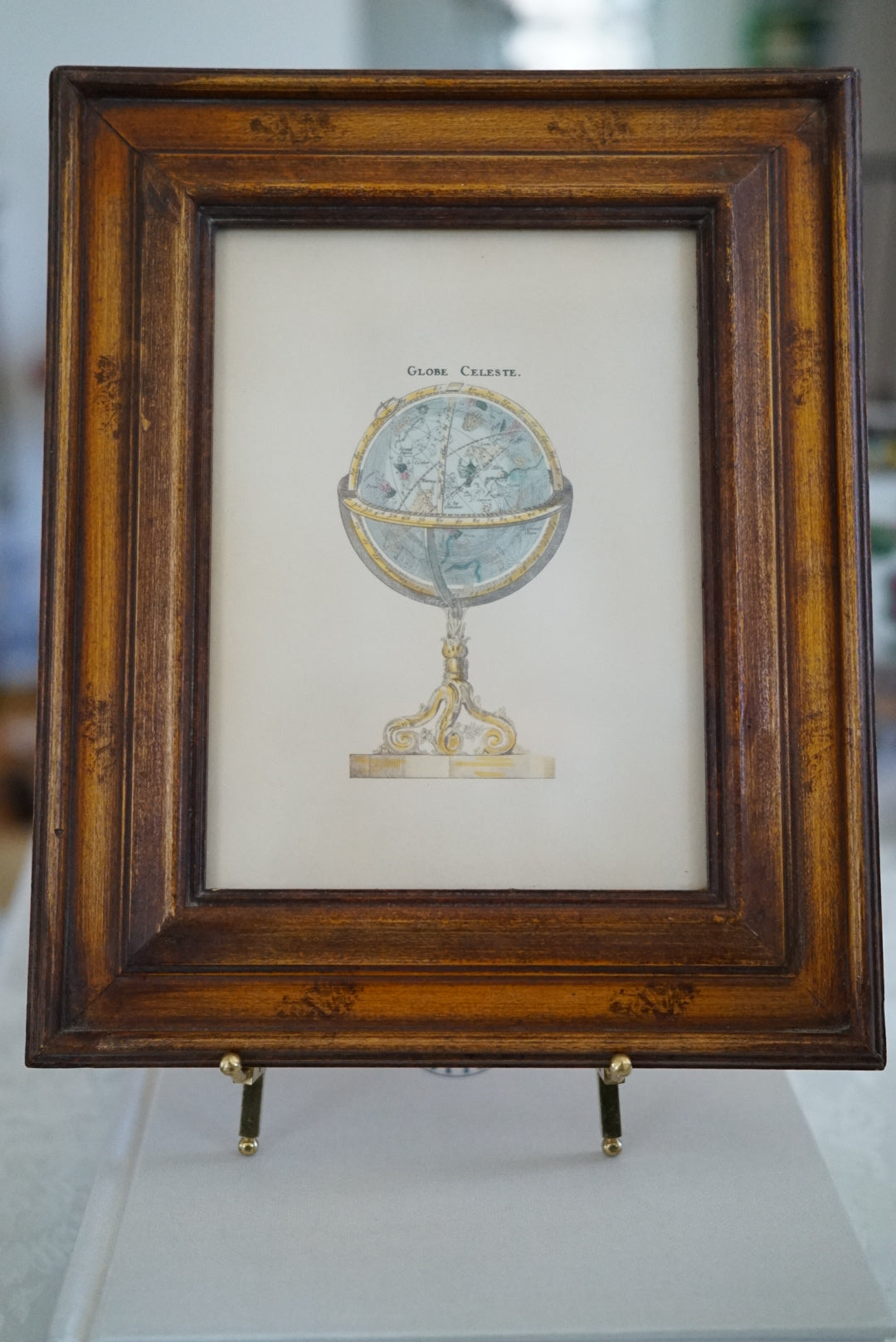 Framed Vintage Globe Celeste Print