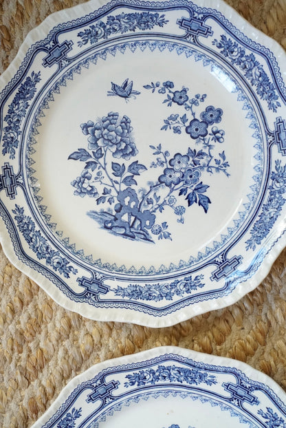 Set of 3 — Vintage Mason’s Manchu Dinner Plates