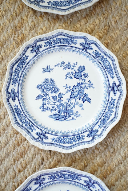 Set of 3 — Vintage Mason’s Manchu Dinner Plates
