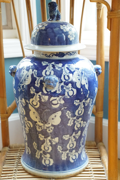 XL Blue and White Butterfly Temple Jar