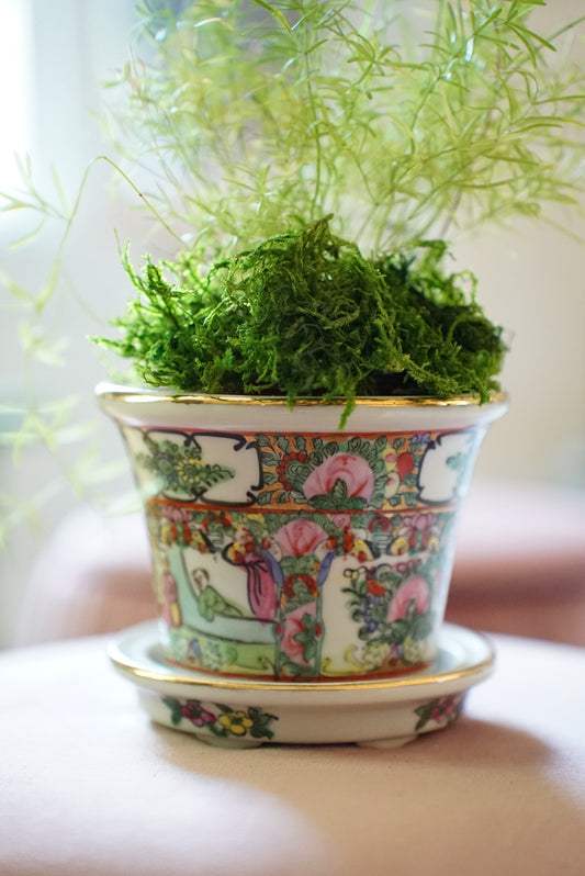 Small Vintage Rose Medallion Planter and Saucer