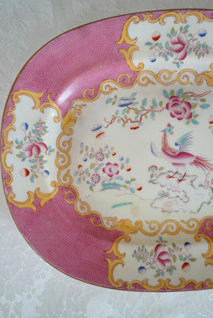 Minton Cockatrice Pink Platter